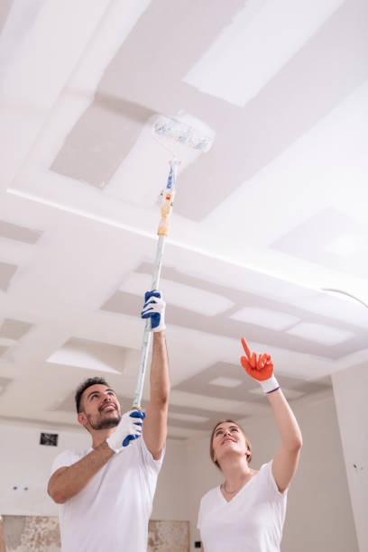 Best Mold Remediation for Healthcare Facilities  in Wortham, TX