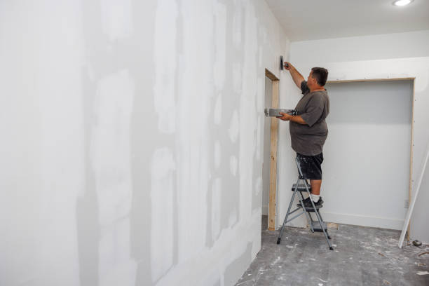  Wortham, TX Mold Removal Pros