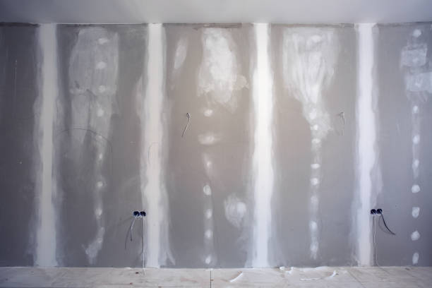 Best Mold Damage Restoration  in Wortham, TX